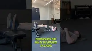Reverse Planks (BW) #stayst_rong #glutes #legday #bodyweight #hamstrings #lowbackexercises