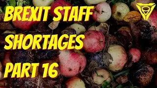 Brexit staff shortages: millions of daffodils wilt in UK | Outside Views on Brexit and UK politics