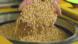 Der Kreislauf der Holzpellets
