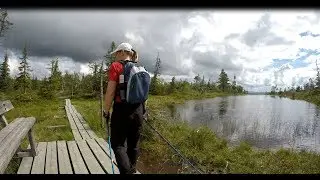 Riisitunturi- Riisitunturin Kansallispuisto ja kesä retki