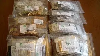 135 Varieties Of Seeds For Under $70 - Non GMO Heirloom Seeds