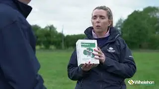 Weed control in newly sown leys | Whelehan Crop Protection