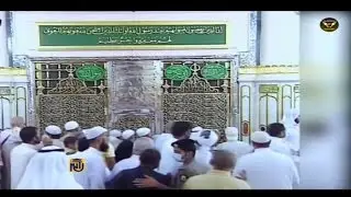 أولاد الشيخ البرعي - العدناني