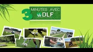 3 minutes avec DLF : les ray-grass t&eacute;traplo&iuml;des (4n), vari&eacute;t&eacute;s &agrave; gazon rustiques et r&eacute;sistantes