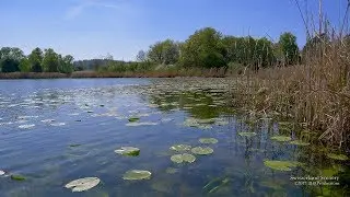 4K Nussbaumersee Uesslingen-Buch Thurgau SWITZERLAND 山河