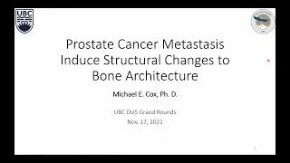 Prostate Cancer Metastasis Induce Structural Changes to Bone Architecture
