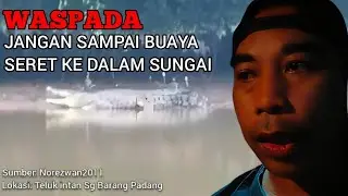 Tak ada cara untuk lepaskan diri dari buaya besar
