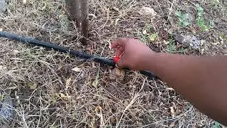 Adjustable or Magical drip irrigation | DSR Farming