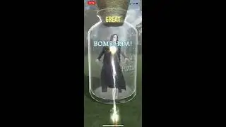 Professor Snape confoundable