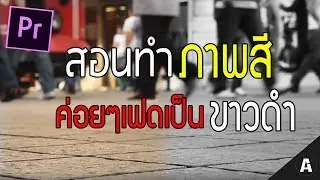 สอนทำวีดีโอสีๆให้ค่อยๆเฟดไปเป็นขาว-ดำ | Premiere Pro Tutorial EP.11