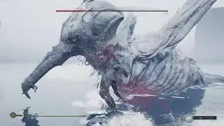 No Shell Trophy, Mortal Shell last boss legit, no glitch/stunlock