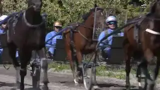 Frode Hamres f&oslash;rste elitloppss&oslash;ndag som kusk