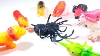 Toy Spider Attack Zoo Animals Lion Zebra Monkey Gorilla Funny Toy Story For Kids