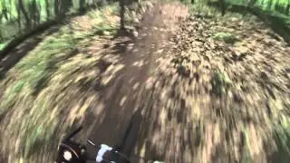 Luton Park - Black loop