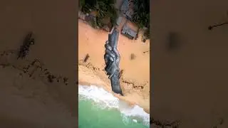 Land artist SAYPE