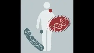 Microbiome Analysis 2023 | 05: Metagenome Assembly and MAGs