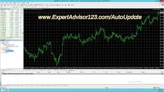 How to Setup Forex Robot AutoUpdate EA ExpertAdvisor123