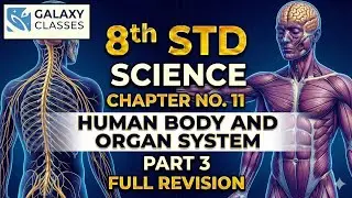 8th Std Science Ch 11 Human Body and Organ System Part 3 | Blood, Blood Groups & BP | SSC