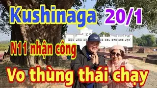 🔴kushinaga 20/1: n11 nhận công… Vo Thung tháo chạy #jackduky #thichminhtue