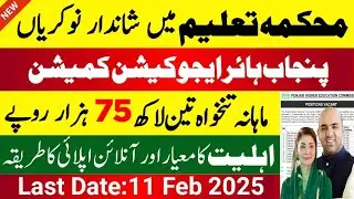 Punjab Heigher Education Commission Jobs 2026 Online Apply | Latest Jobs in Punjab 2026