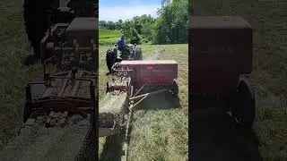 Baling Hay with the Oliver 77 and New Holland Super 69 Bailer. #antiquetractor #olivertractor