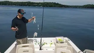 How to use the Troll Master Depth Calculator fishing app