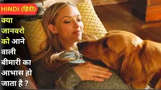 Heartwarming Dog Tale | The Art of Racing in the Rain Movie Recap