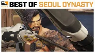 Tiger Bares Its FANGS &mdash; Best of Seoul Dynasty | Best of the Week #17