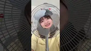 Play Together | Hạt ti&ecirc;u đ&uacute; trend m&aacute;y quạt | Hạt Ti&ecirc;u Play