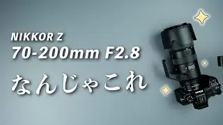 もっと早く買えばよかったわ。Nikon Nikkor Z 70-200mm f2.8