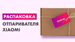 Распаковка &mdash; Отпариватель Xiaomi Handheld Steam Iron BHR9034EU