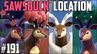 How to Catch Sawsbuck - Pok&eacute;mon Scarlet & Violet