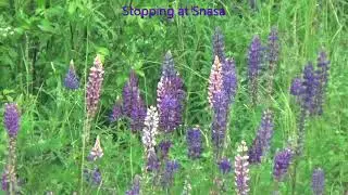 Day 8 Pt 3   Steinker to Majavatn   Wilderness HD