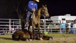 Guy McLean - The Horse Man from Susan River (Hervey Bay June 2013)