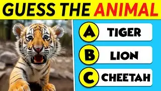 Guess 100 Animals 🐶🐱 Easy, Medium, Hard, Impossible 🧠🤯 How Much Do You Know About Animals?