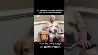 я бы налепил сюда хуеву тучу хештегов, но я не блогер
