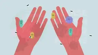 Level 3 Food Safety for Supervisors   Video   Good Hygiene Practices