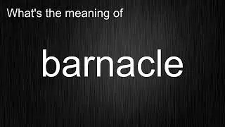 What's the meaning of 