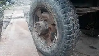 chỉ có 15 triệu  là bạn có  được em nó lh0396181362