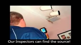 Miami Mold Inspection