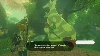 Hestu&rsquo;s Gift