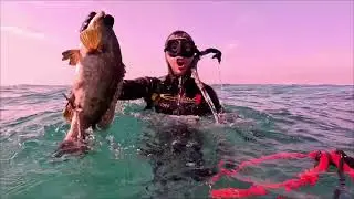 Some epsealon epic team highlights. #spearfishing #fishing #ספירפישינג #דייג #fish #grouperfish 