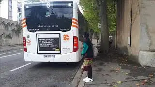 Sound Bus Mercedes Citaro C2 Hybrid n&deg;509 de La M&eacute;tropole Mobilit&eacute; le bus sur la ligne 6