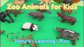 Zoo Animal Names & Fun Facts | Educational Wildlife Adventure for Kids