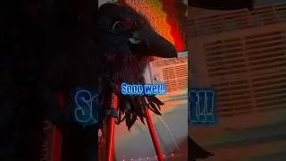 Suck! #fyp #hempcrow #suck #fellatio #digitalunderground