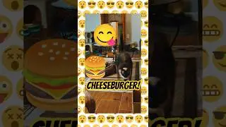 Burger Time! 🍔