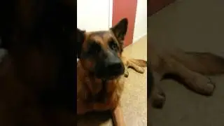 Mlem