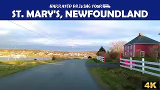 🌄 Epic 4K Drive Through St. Mary&rsquo;s, Newfoundland | Scenic Coastal Adventure 🚗🌊