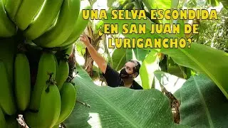 EL PARAISO DE S.J.L #amazonas #selva #naturaleza