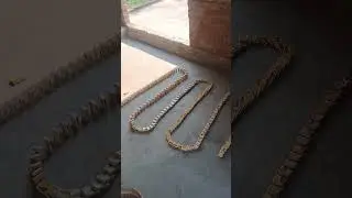machis short video #Machis #short #viral #game #gaming #tending #popular #amazing #video